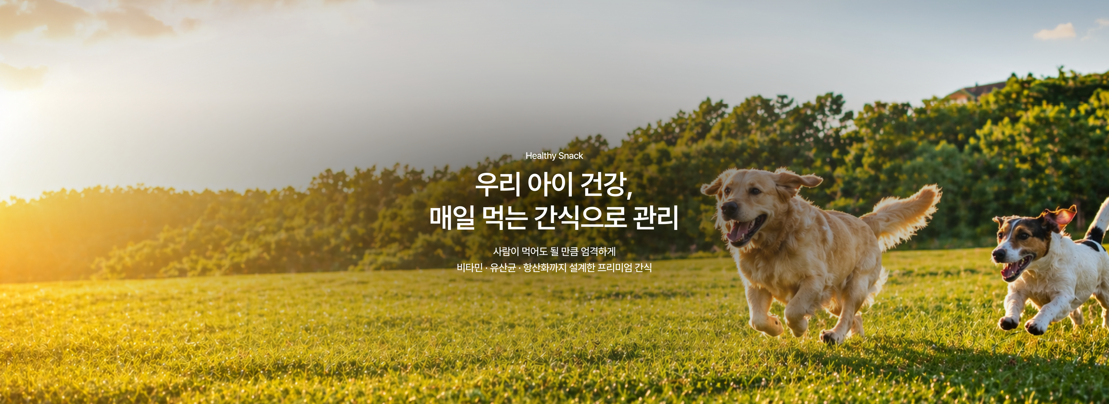 우리 아이 건강 매일 먹는 간식으로 관리